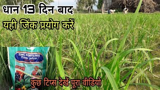 जिंक सल्फेट33% और धान कि कुछ टिप्स It is better for paddy crop this zinc sulfur