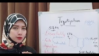 ( Protein Metabolism Session 18) Tryptophan amino acid metabolism
