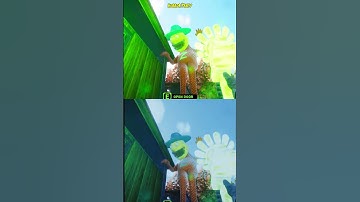 Zoonomaly Broke My Brain