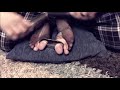 Feet Tickling Cuffed Toes Feet Foot Tickles New Tiktok Feet Tickling Cuffed Toes Feet Foot Tickles New Tiktok
