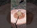 Antique Splitting Wedge #gadgets