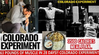 5 kg MUSCLE GAIN IN 1 MONTH❓|| COLORADO EXPERIMENT || 3500 CALORIES DIET EVERYDAY||