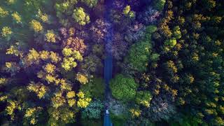 Happy Inspirational Instrumental Music for Videos - Best Background Music - minor