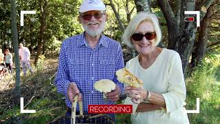 BioBlitz 2020 is going virtual!