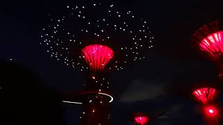 新加坡DAY1 濱海灣花園擎天樹燈光秀