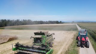 Moisson de Colza 2022/Alsace/John Deere/ETA OBERLI