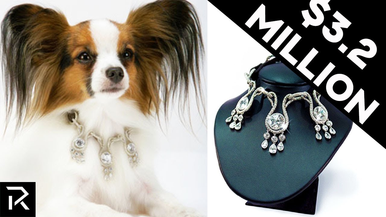 The World’s Most Expensive Dog Collar Costs $3.2 Million Dollars