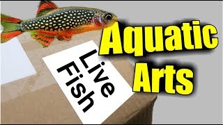 HUGE Aquatic Arts Unboxing | Getting *NEW* Fish, Shrimp, and Snails