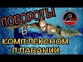 Комплексное плавание | Техника выполнения поворотов БАТТ/СПИНА/БРАСС/КРОЛЬ