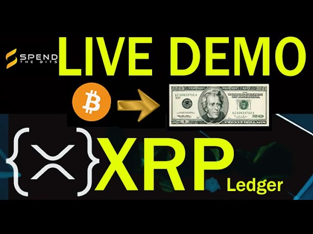 XRP Ledger LIVE DEMO Maxi Nightmare, JPMorgan moves UNDER radar, Yellen  Nervous Speech, GOLD Spikes 