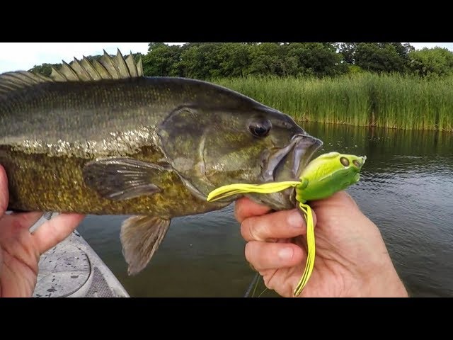 Got my PB Small Mouth today on the Patapsco River on a Frog Popper :  r/MarylandFishing