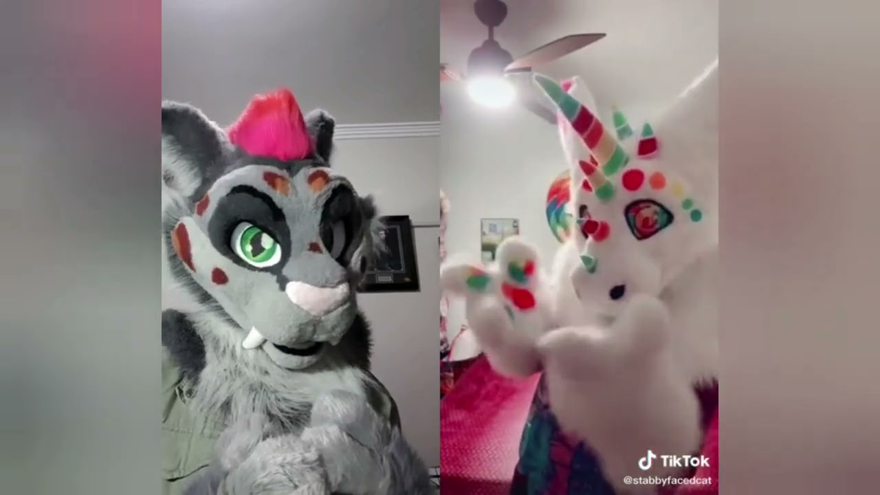 Furry Tik Tok #55 - YouTube