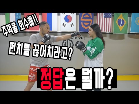 격투기 잘하는 방법 펀치의 정답은 뭘까? (전지적 레슬러 시점)