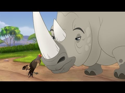 Lion Guard: Tickbirds and Rhinos Full Song | Ono the Tickbird HD Clip