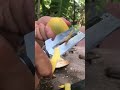 #trending #cuttinglover #shortsfeed #shortvideo #youtubeshorts #viralvideo