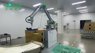 🤖 Collaborative Palletizing Robot | Smarter End-of-Line Automation