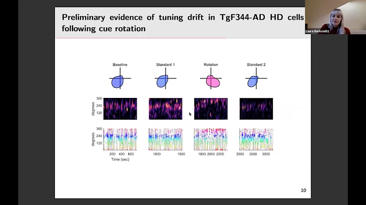 Talk: Investigation of postsubicular head directio...
