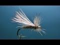 Fly tying Standard Caddis. スタンダードカディスをフライタイイング  "FlyTier's Eyes. No.40"