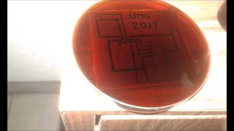 SEMAFORO PICAXE 18M2+ video de prueba