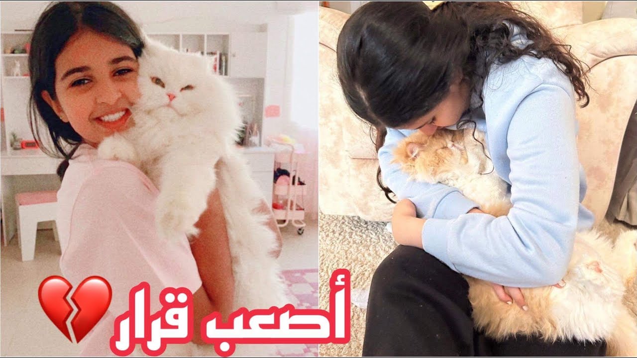 قررت اعرض القطط للتبني😔 كيف اقنعت هيا وهيفاء 💔 مؤثر