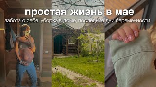 простая жизнь в мае 🏡 уборка, обустройство дома, забота о своём теле, беременность