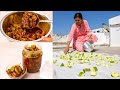 आम का असली अचार कैसे बनाते है | Mango Pickle Recipe | Traditional Aam Ka Achar | Kabitaskitcen