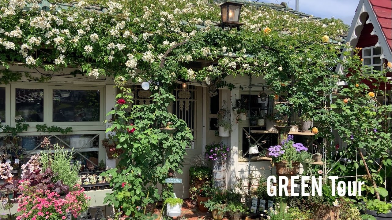 50代で始めたガーデニングショップ！家業のお豆腐屋さんをリメイクしてできたお店がまるでジブリの世界で可愛すぎるお店 | CHEERS GARDEN |  園芸/観葉植物店巡り | 和歌山/上富田