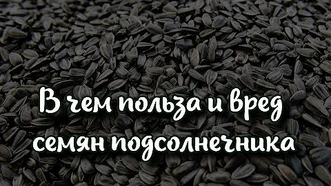В чем польза и вред семян подсолнечника советы от Аниты Луценко