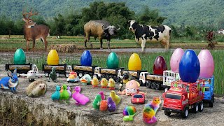 Colorful Surprise Eggs, Cow, Octopus, Dinosaur, Duck, Love Bird, Owl, Squirrel, Truck, Thomas train by Scoopy Toys_ 49 views 2 weeks ago 11 minutes, 50 seconds