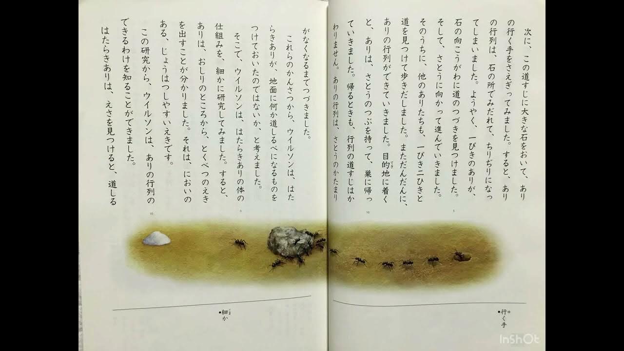 ありの行列 小学3年生 国語 YouTube