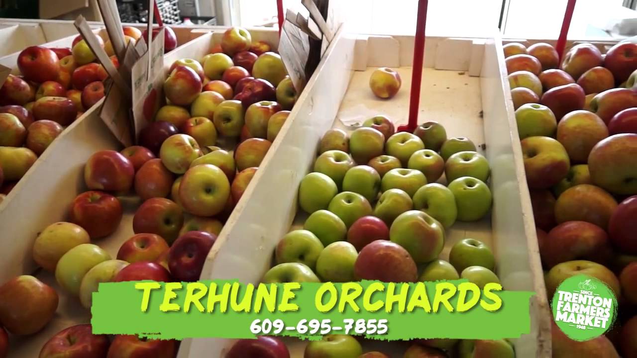 Trenton Farmers Market Tour Video YouTube