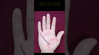 먹고 사는데 전혀 문제가 없는 금수저 손금 #손금 #금전운 #재물운