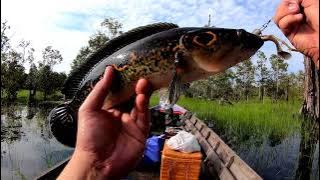 BIKIN KETAGIHAN!!! MANCING DI SPOT SUNGAI HITAM INI || CASTING KERANDANG SEBANGAU KALIMANTAN TENGAH