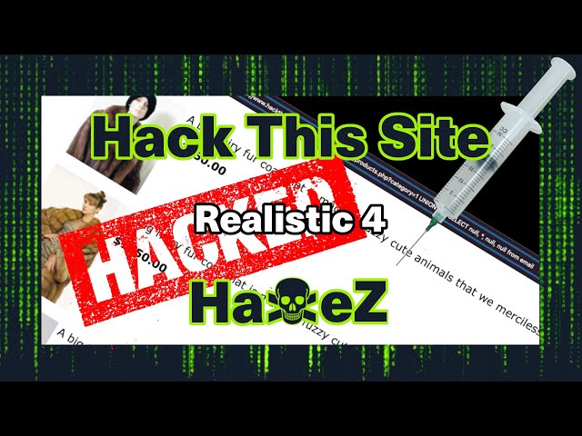 Hack This Site: Realistic Web Mission – Level 4