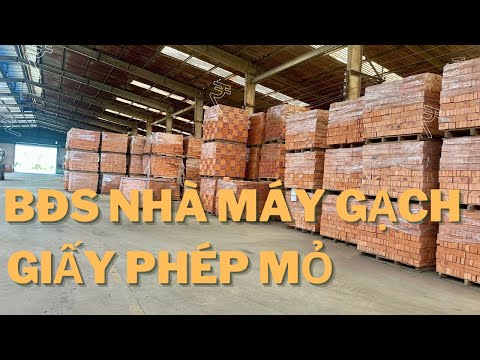 Tập 359❤️ BÁN TOÀN BỘ CÔNG TY ĐANG HOẠT ĐỘNG – NHÀ MÁY GẠCH, MỎ SÉT, ĐẤT TRỒNG TRÀM – GIÁ CHỈ 35 TỶ