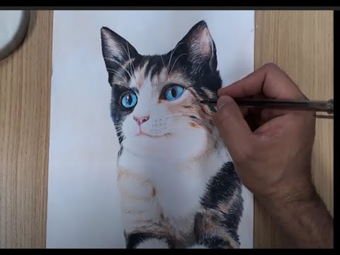 Tutorial - Como desenhar gatos / How to draw cats 