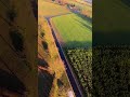 #djiavata2 #fpv #drone #nature