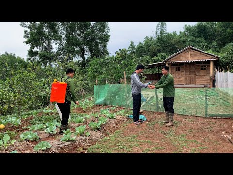 Bank officials first came to the farm to collect land mone, take care of the vegetable garden