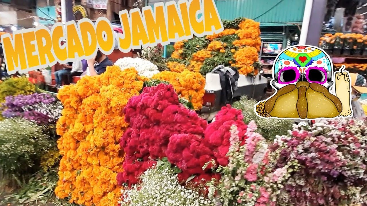 Mercado JAMAICA: Así la Venta de Flor de Cempasúchil, Pata de León,  CORONAS, CRUCES FLORALES Y MÁS - YouTube