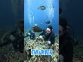 The Diver NEW SONG OUT NOW #aimusic #aitrance