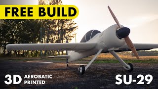 3D printed SU-29 – Build Guide