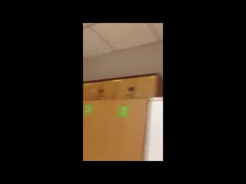 ვარკეთილის ფრესკოში არსებული მდგომარეობა