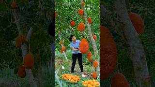 😱Orange Jackfruit😱Cut Quickly To Make It Ready For The Market🏃 #short