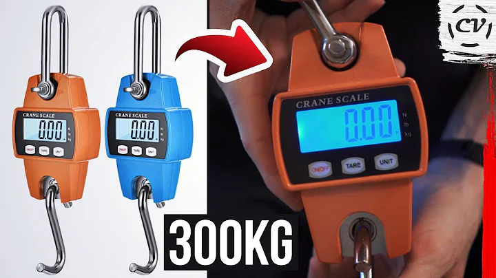 Electronic Crane Scale Review (300kg Model) - For Only $20