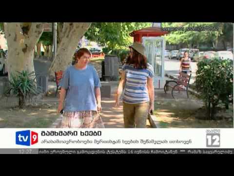 ახალი 12 | გამხმარი ხეები | 24.07.12