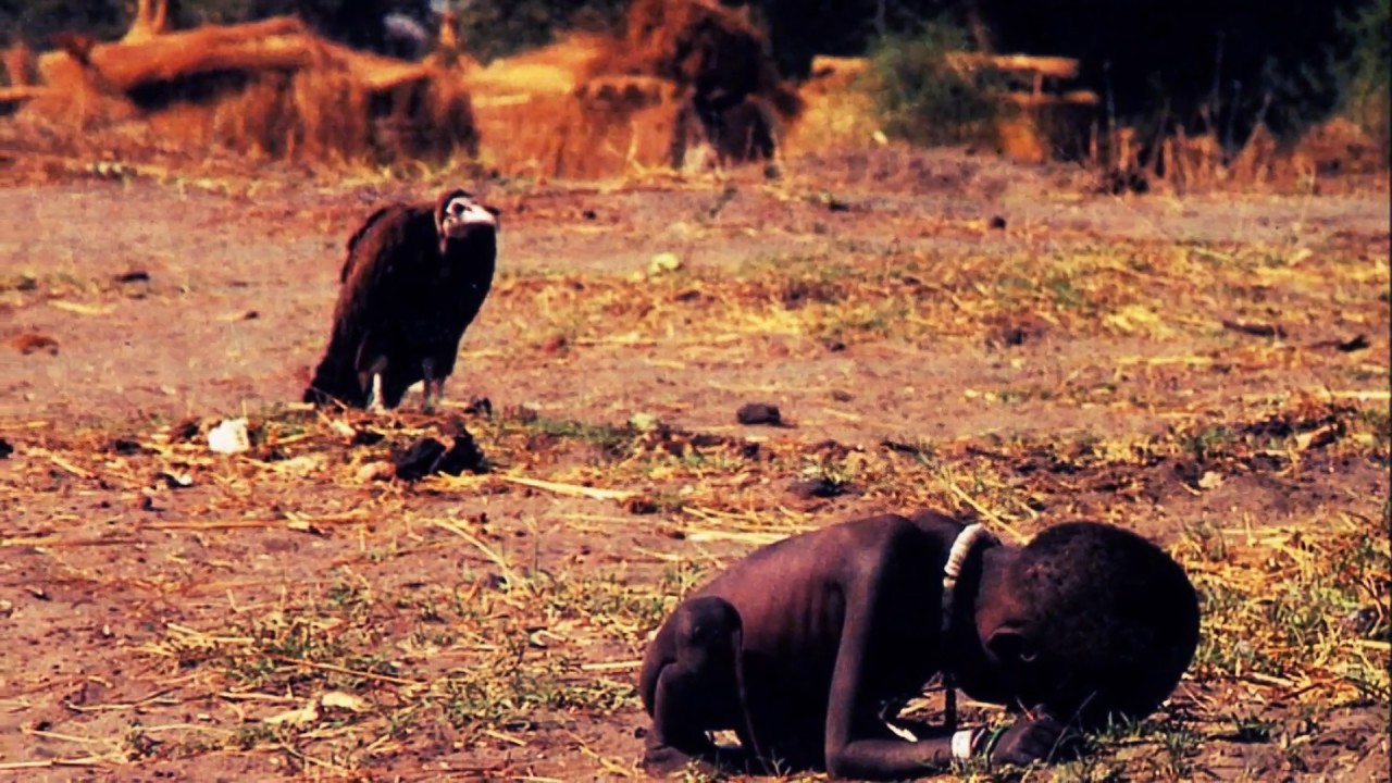 Kevin Carter: A CRIANÇA FAMINTA E O ABUTRE | Se você não gosta de histórias  tristes não assista - YouTube