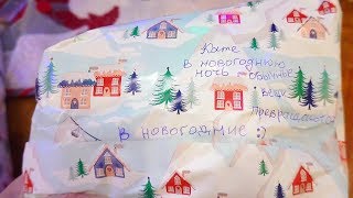 VLOG Я придумала новогодний челлендж. Помогли Наде