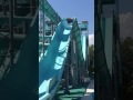 ненормальные люди ненормальные люди