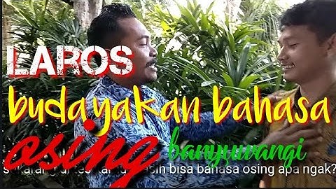 VIRAL BANYUWANGI...!!! // BUDAYAKAN BAHASA OSING BANYUWANGI // contoh SAYA TIDAK MAU "MONG" simpel