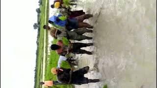 mawesela wakiwa mbugani by msambazaji DJ juma 0683735938